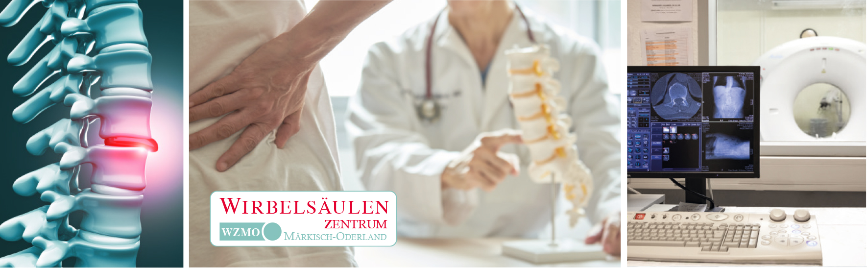 Wirbelsäeulenzentrum Banner